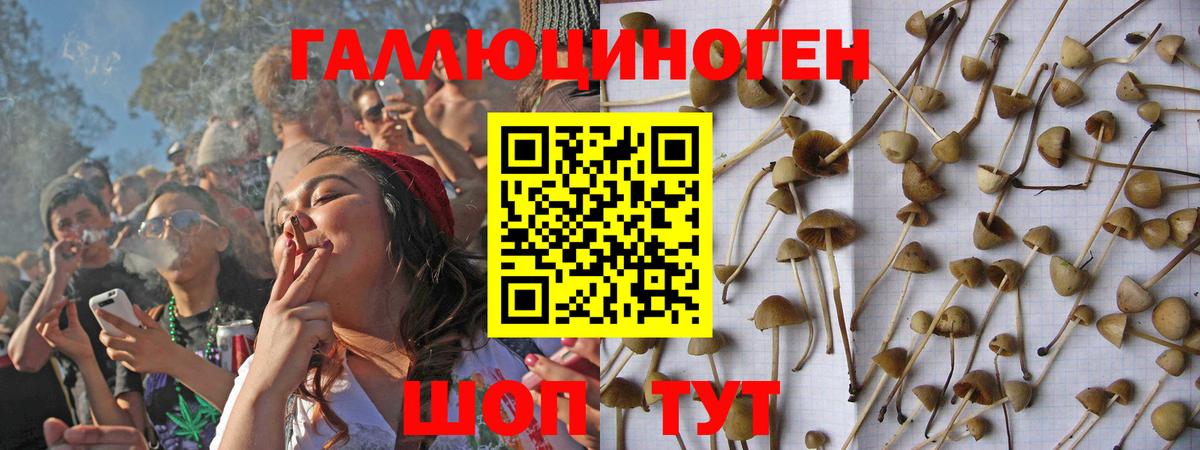 Псилоцибиновые грибы мухоморы  Вход с VPN  дарнет шоп  Можайск 